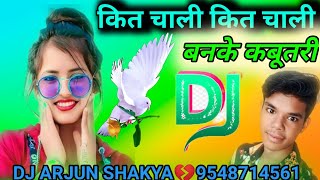 kit chali banke kabutari new song DJARJUNSHAKYA💝kabutari new song kit chali kit chali banke kabutari [upl. by Oilla609]