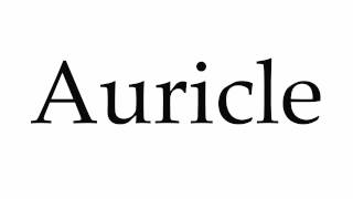 How to Pronounce Auricle [upl. by Trudey]