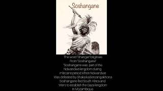 South African history during 17001800 quotMfecane or Difaqanequot [upl. by Lukash]