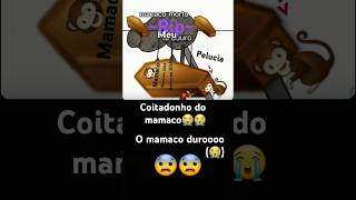 O macaco tá duro 😭nãoflopa macaco macacmemes [upl. by Narag432]