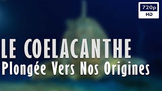 🦈 Le Coelacanthe  Plongée vers nos origines  Documentaire Science amp Histoire  ARTE 2011 [upl. by Mcroberts]