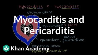 What is myocarditis and pericarditis  Circulatory System and Disease  NCLEXRN  Khan Academy [upl. by Ecirtnahs]