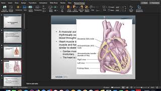 Chapter 3  The Cardiorespiratory System [upl. by Berey]