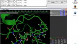 measurement and mutagenesisavi [upl. by Nerradal]