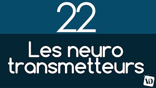 Le cerveau en 2 minutes  les NEUROTRANSMETTEURS [upl. by Anahcra937]