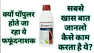 Amistar Top Fungicide Sygenta Full ReviewDoseand Reviewअमिस्टर टॉप फंगीसाइड [upl. by Kettie]