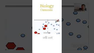 The best way to understand osmosis 💧 igcsebiology [upl. by Pepin]