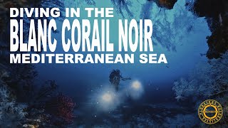 Plongée sur un sec  Blanc corail noir septembre 2024 diveexplo360 [upl. by Ilrahc328]