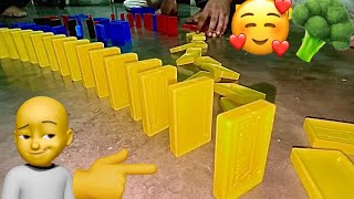 The amazing domino game play ll its make flower design of dominoes and fall [upl. by Jo-Anne]