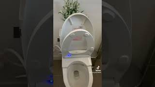 What can a 1300 bidet seat do TOTO s550e  BidetKingcom [upl. by Rochemont]