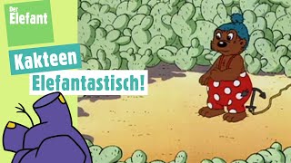 Petzi landet im Kakteenwald amp Lachgeschichte Zuckerwatte  Der Elefant  WDR [upl. by Araiek]