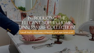 Introducing Elegant Stylish Dinnerware Collection [upl. by Nekcarb]