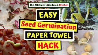 Chilli Seed Paper Towel Germination Experiment 24OCT21 API  301 [upl. by Wind]