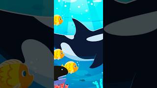 🦈 Baby Shark Remix shorts shortsfeed shortsvideo foryou [upl. by Akinohs307]