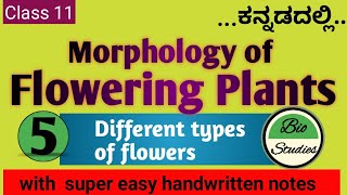 Class 11 ಕನ್ನಡದಲ್ಲಿ  Morphology of Flowering Plants  05  Flower [upl. by Petrine]