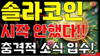 솔라 전망 quot🔥 시작도 안했습니다🔥quot 분명 여기 구간까지는 반등합니다🔥 충격적 호재 입수🔥 [upl. by Lacram]