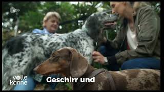 LOCKness Hundediebstahlschutz [upl. by Menendez]