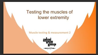 Testing the muscle of lower extremity Muscle test 2Lec 3 part 1 [upl. by Maril]