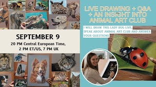 LADYBUG LIVE DRAWING  Q amp A  INSIGHT into ANIMAL ART CLUB [upl. by Ahsyle]