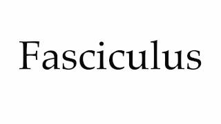 How to Pronounce Fasciculus [upl. by Katuscha944]