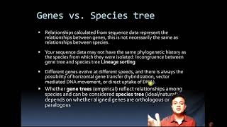 Orthologues Paralogues Gene tree Species tree and Lineage Sorting [upl. by Llecram]