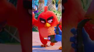 IPHONE APPLE STORE REFERENCE IN ANGRY BIRDS MOVIE [upl. by Annelise898]