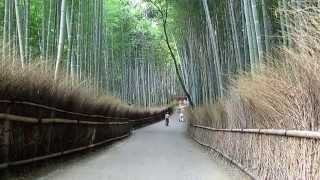 Arashiyama Bamboo Grove  Kyoto ᴴᴰ ● 嵐山 竹林 京都 [upl. by Lig]