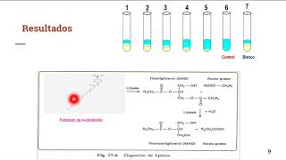 Evaluación Orlistat Fármaco alternativo para la OBESIDAD [upl. by Eilyac]