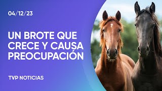 ¿Qué sucede con el brote de encefalomielitis equina [upl. by Je432]