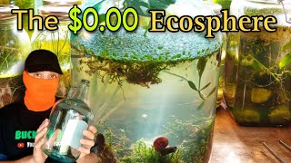 Creating a Stunning Ecosphere ZeroCost DIY Guide [upl. by Wyne]