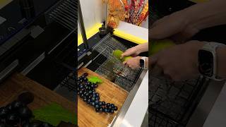 What are the requirements for a kitchen sink that is idealviralvideo diy dj shorts [upl. by Iv]