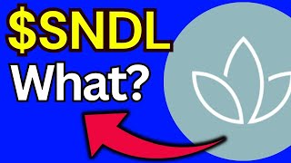 SNDL Stock sundial growers stock SNDL STOCK PREDICTIONS SNDL STOCK Analysis Sndl stock news today [upl. by Nosimaj390]