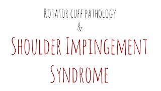 Shoulder impingement syndrome  cause evaluation and management  Darlene  urdu and hindi [upl. by Casanova149]