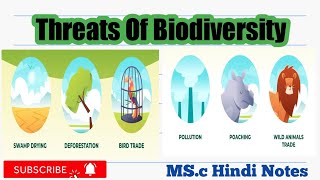 Threats of Biodiversity msc hindi notesBiodiversity [upl. by Emmalynne27]