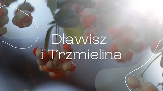 Dławisze i Trzmieliny [upl. by Helbonna]