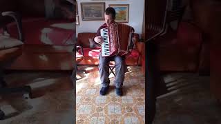 Beethoven  Per Elisa  Accordion Cover By Paul Arrangement [upl. by Kalli215]