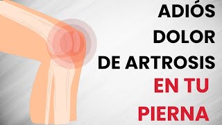 🦵 Adiós al DOLOR de ARTROSIS en tu pierna haciendo estos EJERCICIOS [upl. by Mlehliw]