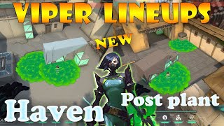 Top 15 New Haven Viper Post Plant Lineups  Viper Lineups Haven  Viper Guide Haven [upl. by Caron]