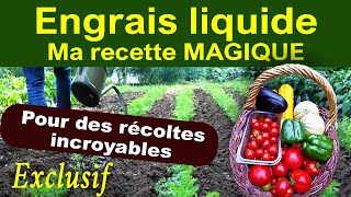 Engrais liquide Ma recette secrète avec seulement 3 ingrédients simples et compatible bio [upl. by Fenella]