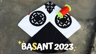 BASANT 2023  PINDI  20 Thousand kites  VLOG [upl. by Nelleyram]