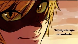 Miraculous Ladybug  Comic Meu principe encantado PtBr [upl. by Nevear]