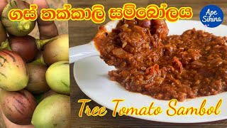 ගස් තක්කාලි සමිබෝලය  Tree Tomato Sambol  Tamarillo Recipes  Gas Thakkali Recipe  Tomato Recipes [upl. by Allebram86]