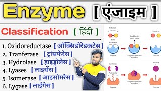 Enzyme in Hindi  Enzymes Biochemistry  Enzyme Classification  Enzymes Inhibition  Enzymes Notes [upl. by Cara]