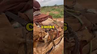 Womens in hamer tribe culture africantribe shortvideo short [upl. by Marelda]