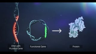 Gene Therapy Explained [upl. by Kissner]