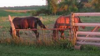 Wild Horses by Mazzy Star [upl. by Lohrman]