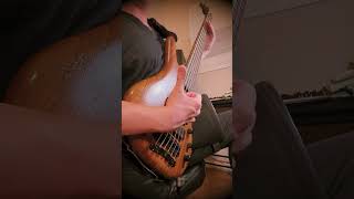 Periphery Absolomb bass cover guitar drums djent slapbass progmetal thumbbass warwickbass [upl. by Nemrac887]