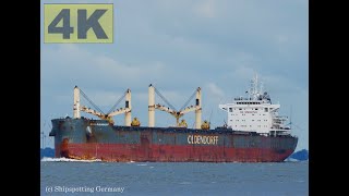 GEBE OLDENDORFF  Shipspotting Germany 🇩🇪 IMO 9727596  River Elbe near City Otterndorf  4K VIDEO [upl. by Folger428]