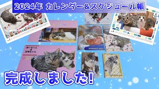 キジトラ猫リキちゃんの2024年のカレンダーができました☆猫カレンダーの紹介☆卓上カレンダー情報も！リキちゃん・ガーちゃん・ゴマちゃん【リキちゃんねる 猫動画】Cat video キジトラ猫との暮らし [upl. by Jensen]