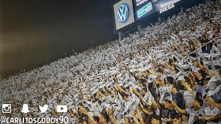 Canta La Hinchada  OLIMPIA BICAMPEÓN 2018 [upl. by Retrac]